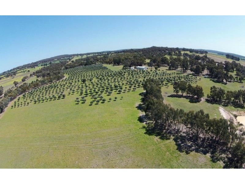 Lot 1278,  Kokendin, Beverley WA 6304