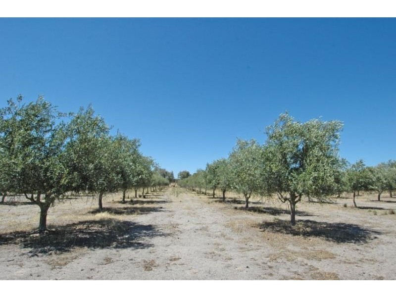 Lot 1278,  Kokendin, Beverley WA 6304