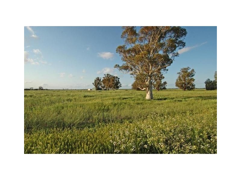 Lot 4544,  FIEGERT, Cunderdin WA 6407