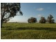 Lot 4544,  FIEGERT, Cunderdin WA 6407