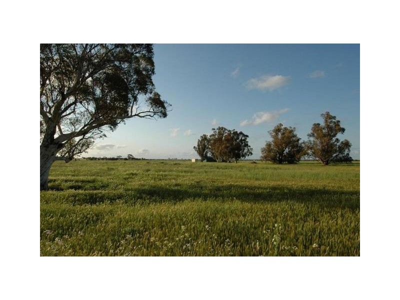 Lot 4544,  FIEGERT, Cunderdin WA 6407