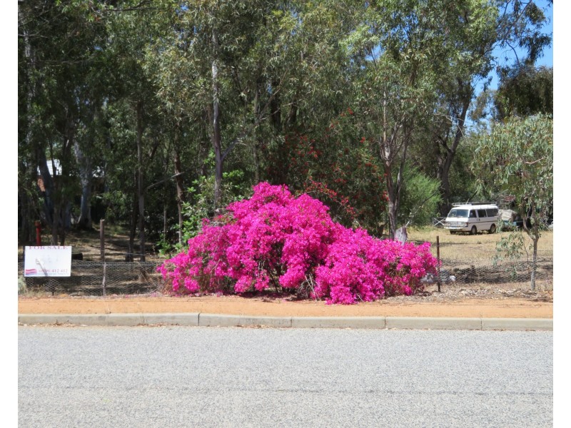 Lot 831, 28 Georgiana Street, York WA 6302