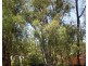 Lot 831, 28 Georgiana Street, York WA 6302