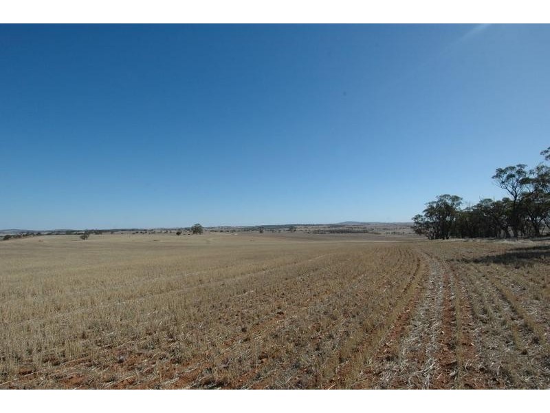 361 PARKER RD, Northam WA 6401