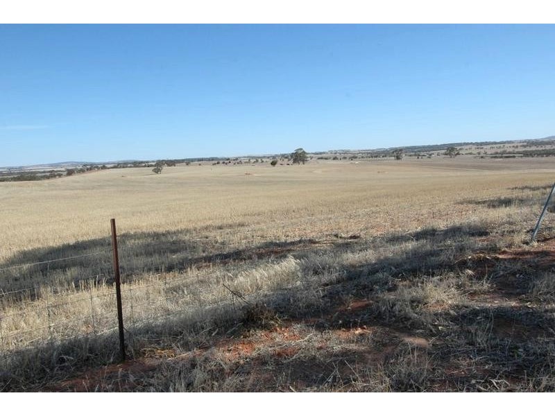 361 PARKER RD, Northam WA 6401