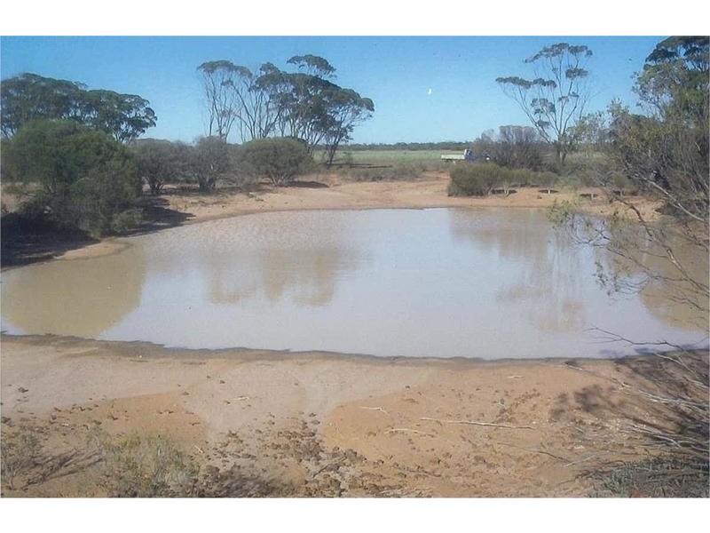 Lot 28249, 0 Baracopin & Campion Road, Merredin WA 6415
