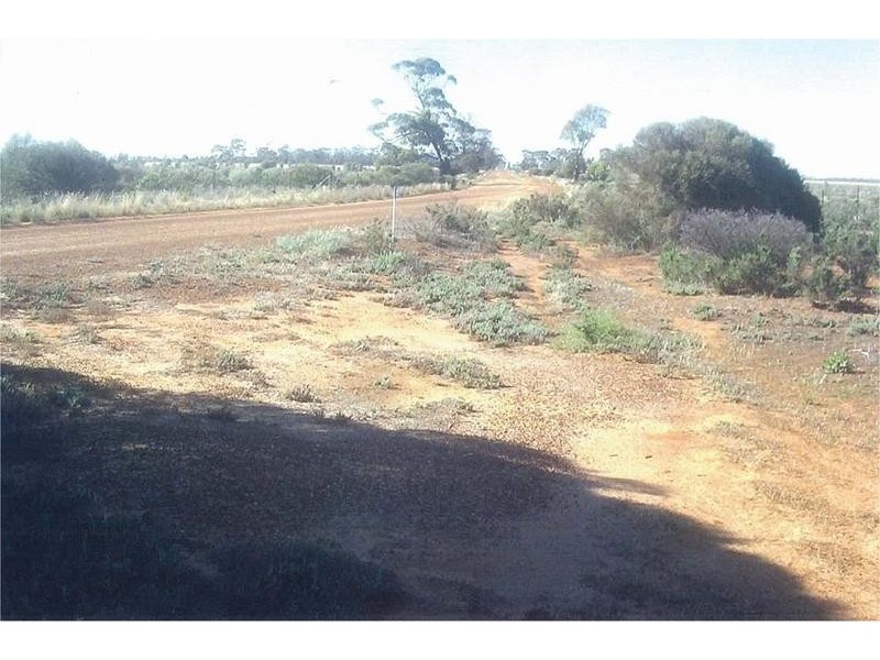 Lot 28249, 0 Baracopin & Campion Road, Merredin WA 6415