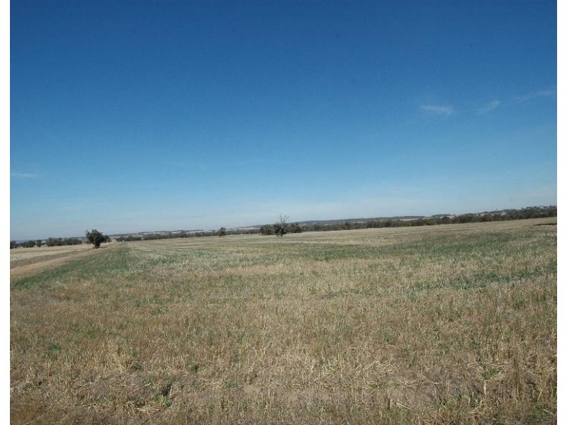 Lot 4069,  North Bannister, Pingelly WA 6308