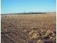 Lot 3282,  Rabbit Proof Fence, Burracoppin WA 6421