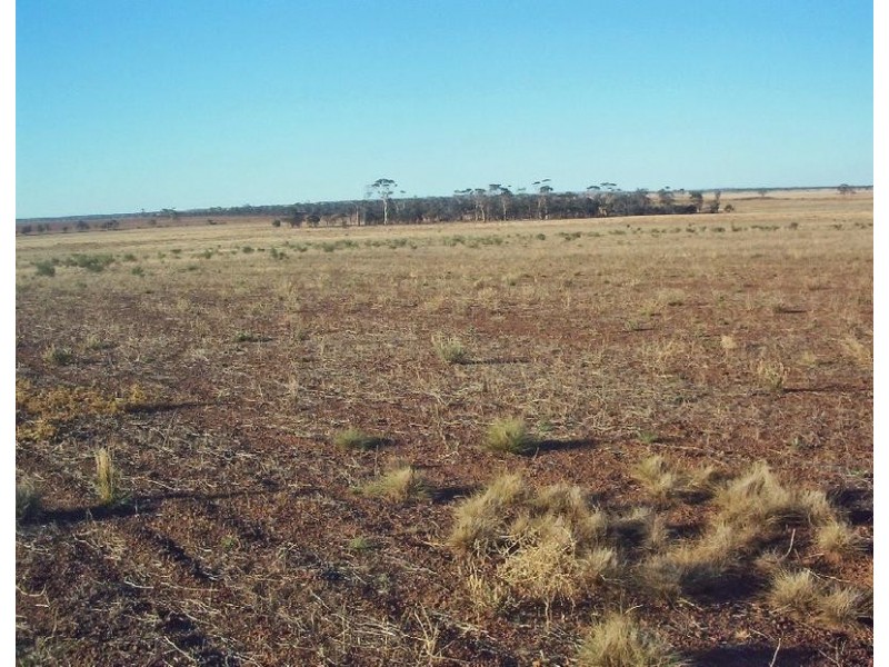Lot 3282,  Rabbit Proof Fence, Burracoppin WA 6421