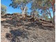 Lot 453,  Bartram Road, Brookton WA 6306