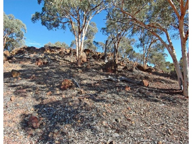 Lot 453,  Bartram Road, Brookton WA 6306