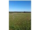 Lot 82, 17 Andrews Avenue, York WA 6302