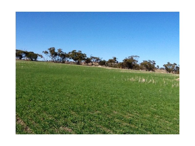 Lot 36,  Knotts Road, York WA 6302