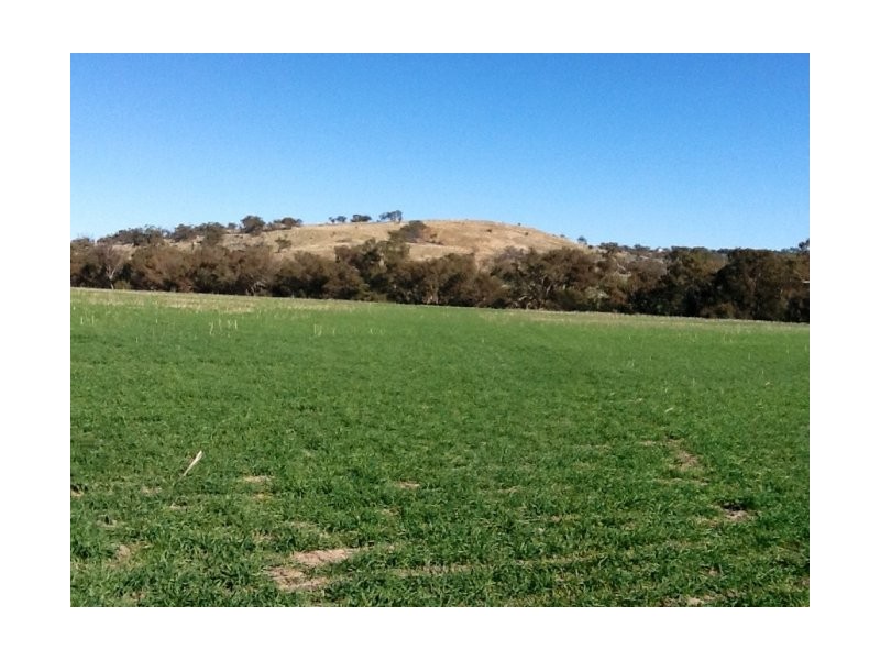 Lot 37,  Knotts Road, York WA 6302