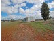 Lot 3,  BARTRAM, Brookton WA 6306