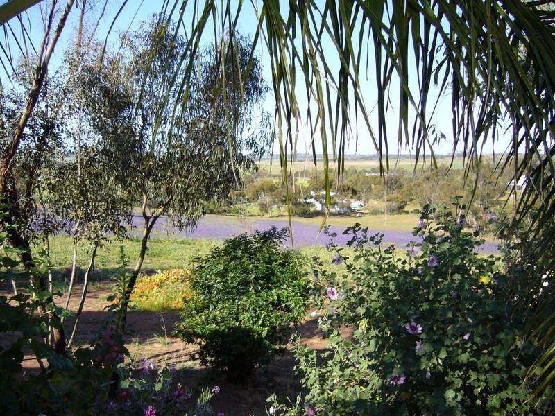 125 Attfield Road, York WA 6302