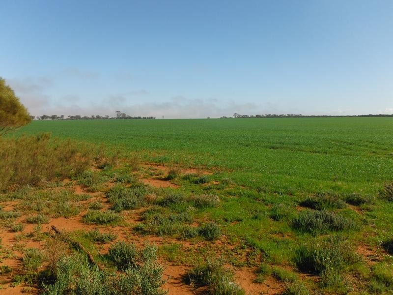 Lot Lot 25462, Lot 28359 Gate Road, Mukinbudin WA 6479