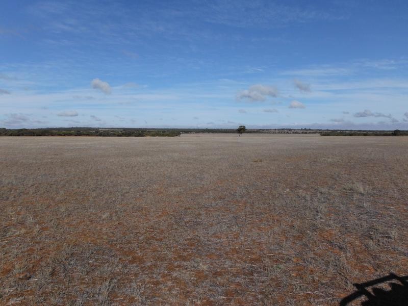 Lot Lot 25462, Lot 28359 Gate Road, Mukinbudin WA 6479