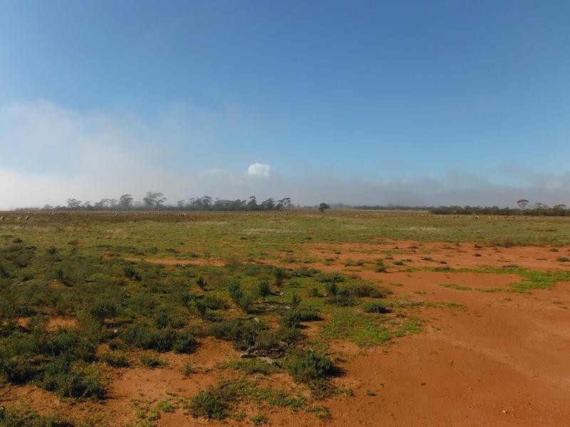 Lot Lot 25462, Lot 28359 Gate Road, Mukinbudin WA 6479