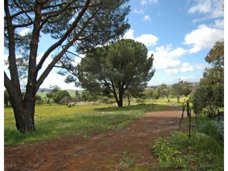 Lot 7, 733 OVENS, York WA 6302
