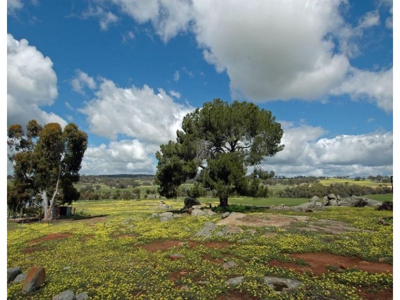 Lot 7, 733 OVENS, York WA 6302