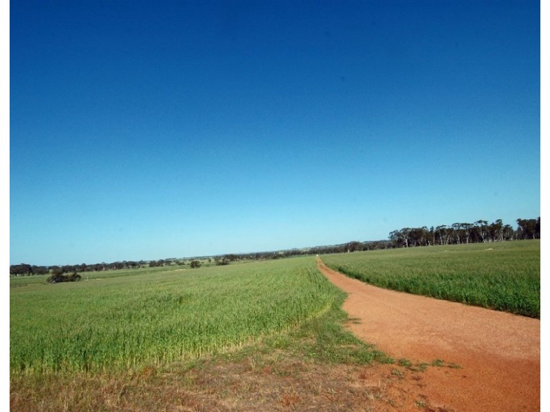 Lot 73, 378 RICKEYS, Beverley WA 6304