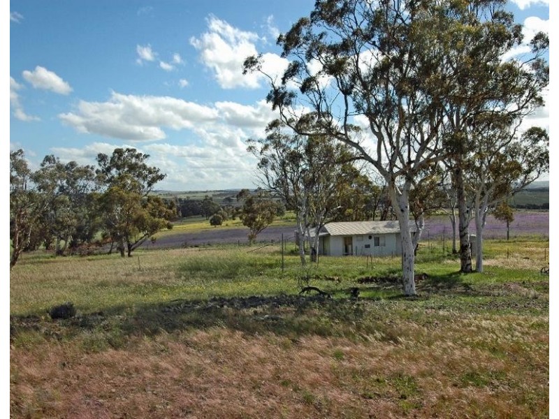 165 Peacock Road, Northam WA 6401