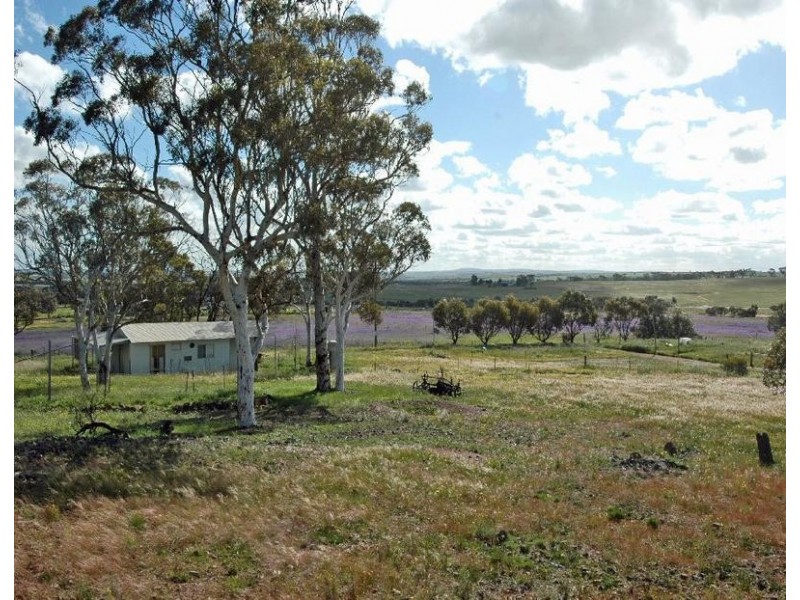 165 Peacock Road, Northam WA 6401