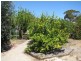 3 James Street, Kellerberrin WA 6410