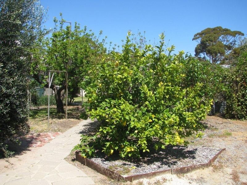 3 James Street, Kellerberrin WA 6410