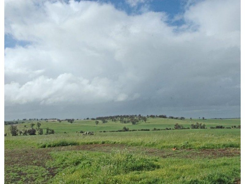 Lot 606,  TALEGRAPH, Toodyay WA 6566