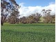 Lot 606,  TALEGRAPH, Toodyay WA 6566