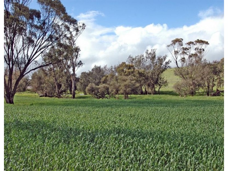Lot 606,  TALEGRAPH, Toodyay WA 6566