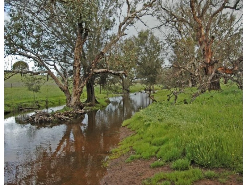 Lot 606,  TALEGRAPH, Toodyay WA 6566