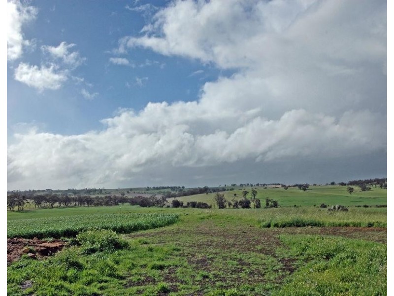 Lot 606,  TALEGRAPH, Toodyay WA 6566