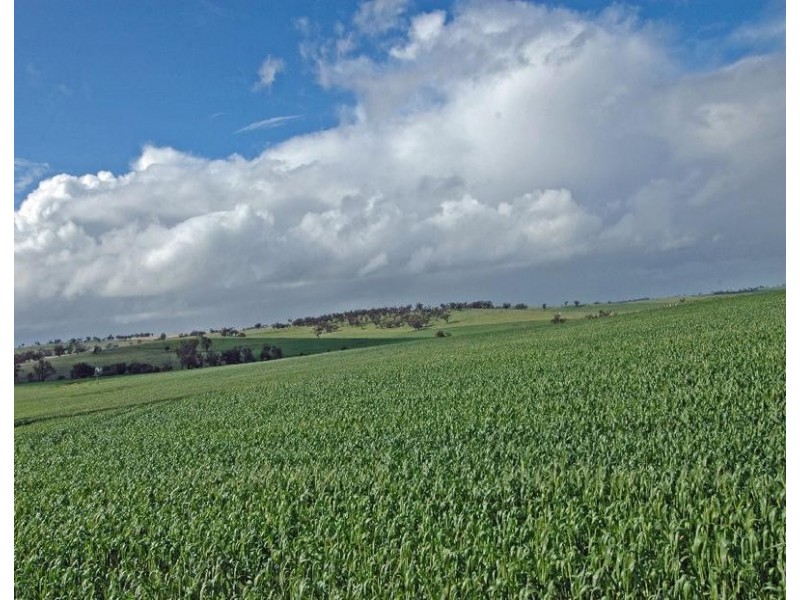 Lot 606,  TALEGRAPH, Toodyay WA 6566