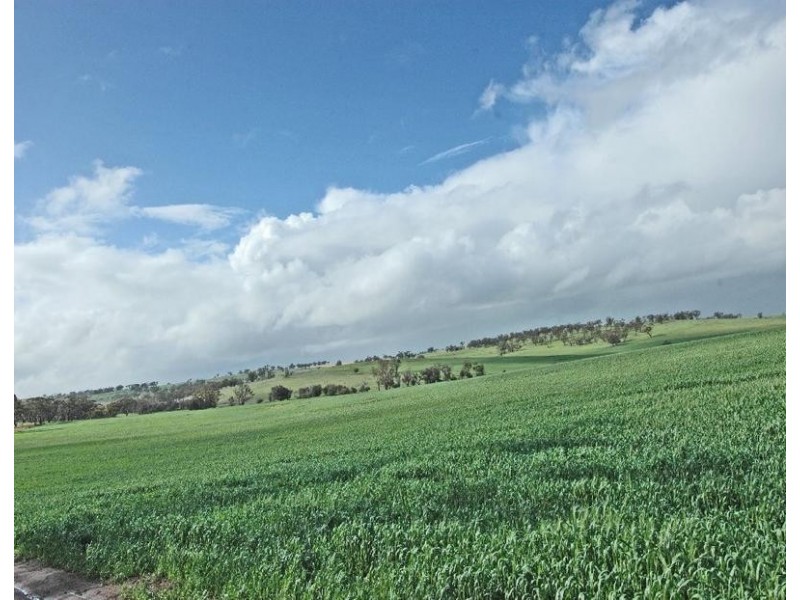 Lot 606,  TALEGRAPH, Toodyay WA 6566