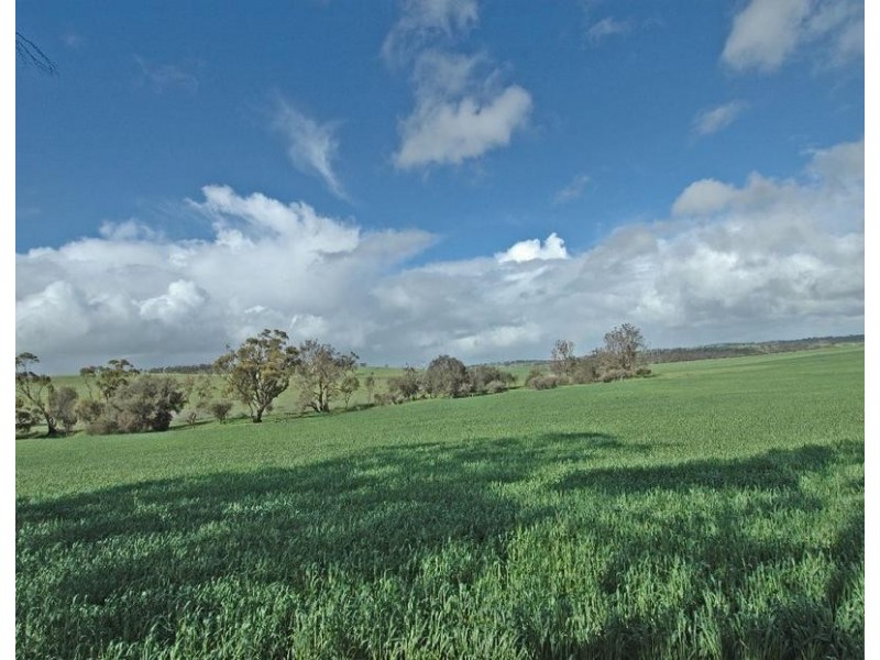 Lot 606,  TALEGRAPH, Toodyay WA 6566