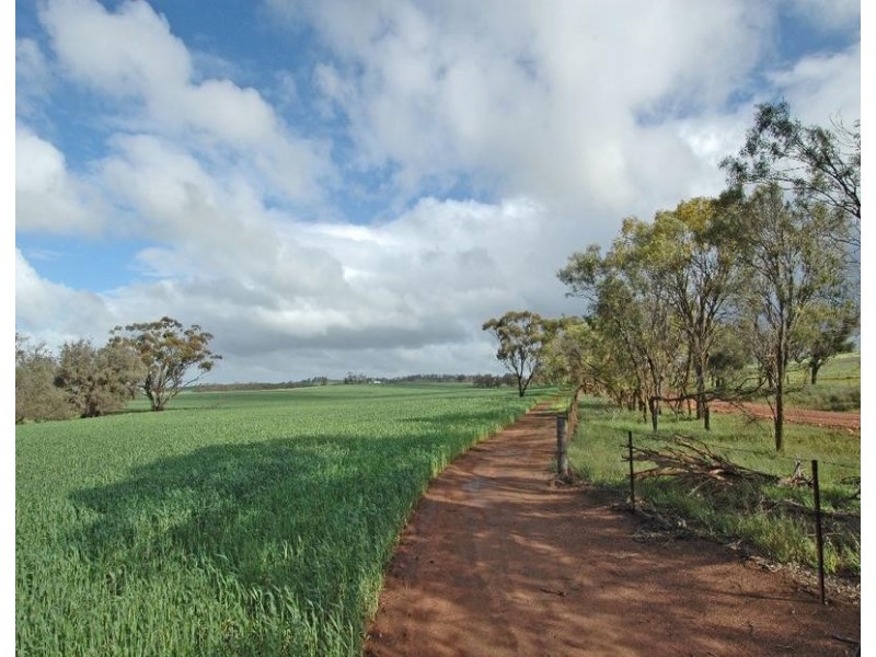 Lot 606,  TALEGRAPH, Toodyay WA 6566