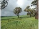 Lot 606,  TALEGRAPH, Toodyay WA 6566
