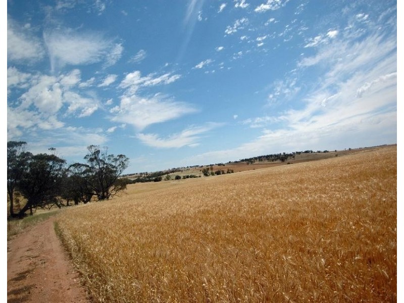 Lot 606,  TALEGRAPH, Toodyay WA 6566