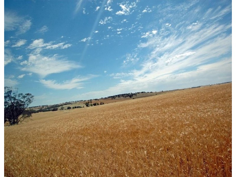 Lot 606,  TALEGRAPH, Toodyay WA 6566