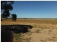 Lot 2815 Comerford Road, Mukinbudin WA 6479