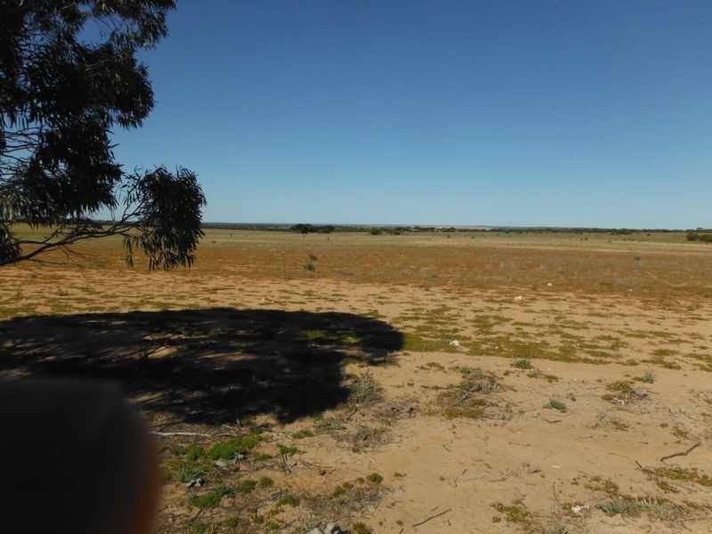 Lot 2815 Comerford Road, Mukinbudin WA 6479