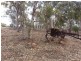 Lot 200,  KOKENDIN, Beverley WA 6304