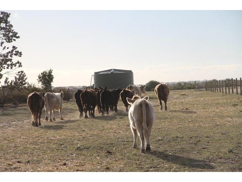 344 Badgin Road, Greenhills WA 6302