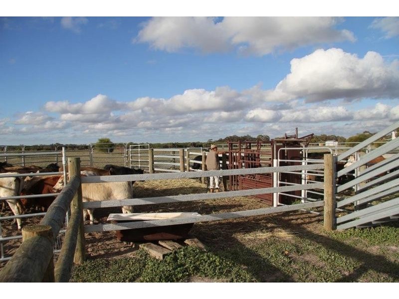 344 Badgin Road, Greenhills WA 6302