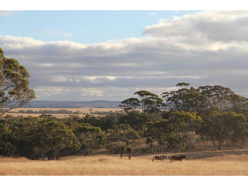 344 Badgin Road, Greenhills WA 6302