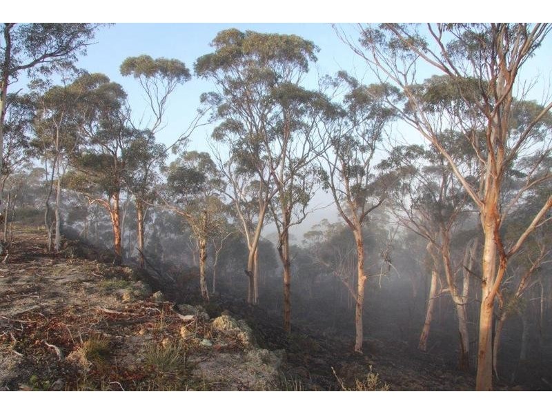 344 Badgin Road, Greenhills WA 6302